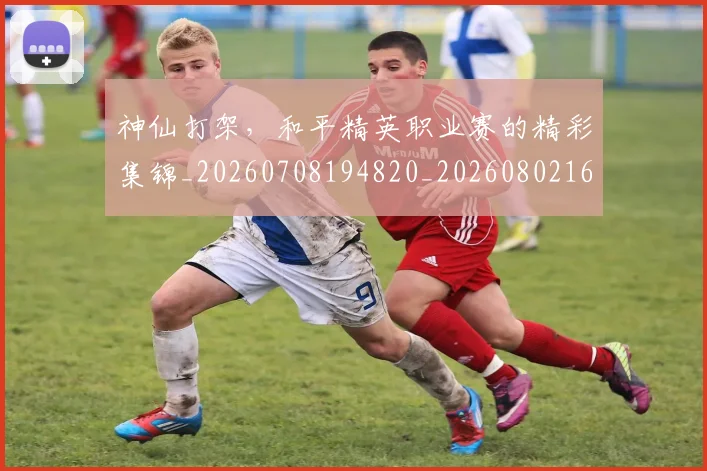 神仙打架,和平精英职业赛的精彩集锦_20260708194820_20260802164432