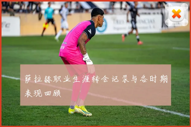 萨拉赫职业生涯转会记录与各时期表现回顾
