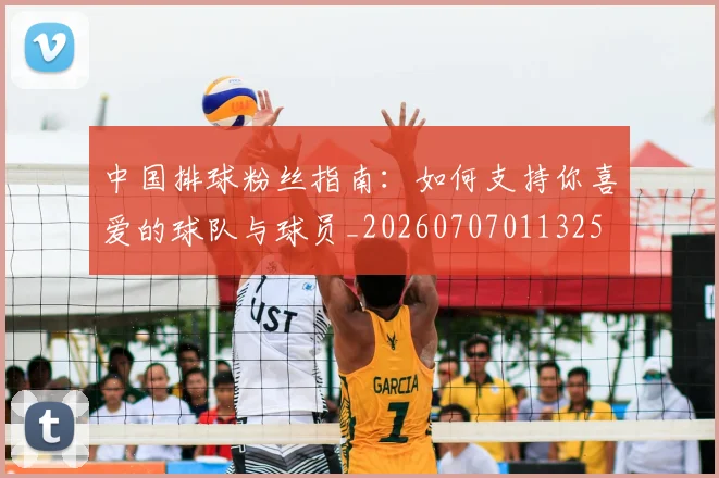 中国排球粉丝指南：如何支持你喜爱的球队与球员_20260707011325