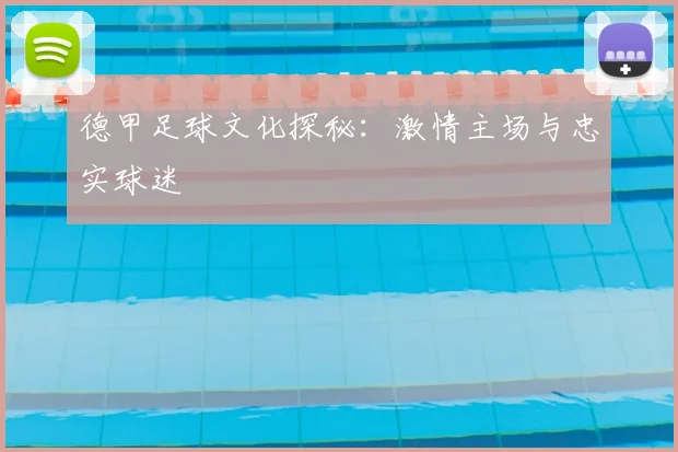德甲足球文化探秘:激情主场与忠实球迷