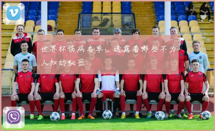 世界杯伤病名单,透露着哪些不为人知的秘密